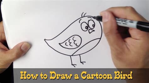 How To Draw A Cartoon Bird Youtube