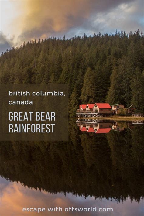 Visit The Great Bear Rainforest In Bc Canada
