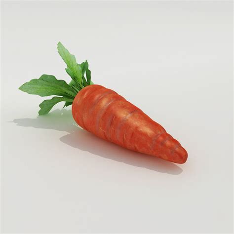 9 Best Of Carrot 3d Model