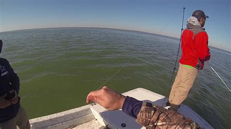 Maybe you would like to learn more about one of these? Fishing Arroyo City - YouTube