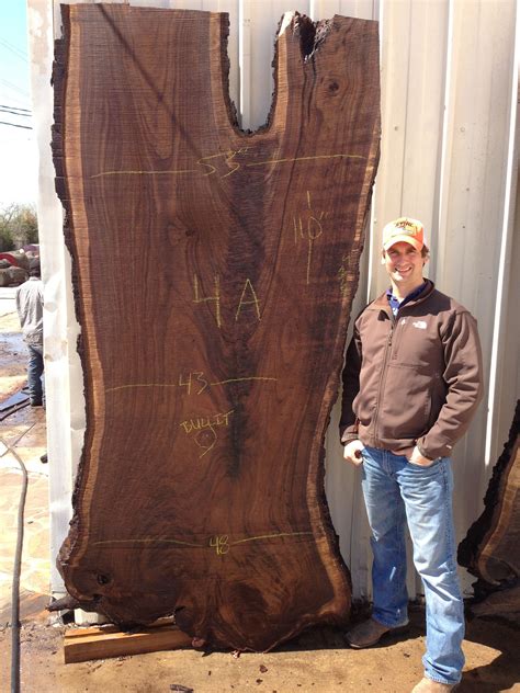 Black walnut has a faint, mild odor when being worked. Massive Black Walnut Slab from East Texas | Walnut slab ...
