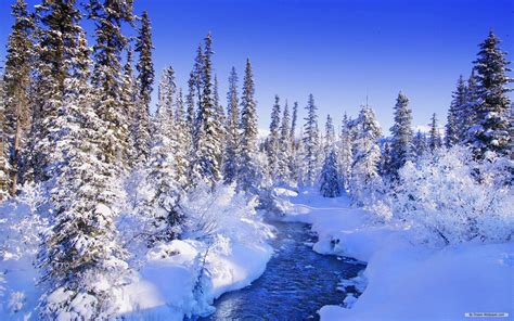 Beautiful Winter Wonderland Wallpapers Top Free Beautiful Winter