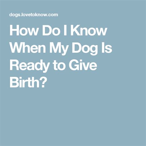 We explain everything you need to some dogs may also hide as death nears, instead of seeking comfort. How Do You Know When Your Dog Is About to Give Birth ...