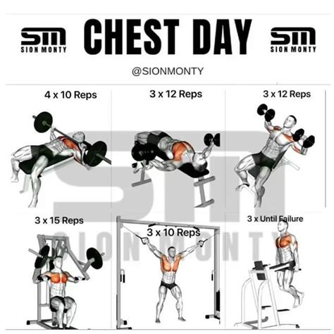 10 Best Chest Exercises For Building Muscle Chest Day Workout Best Chest