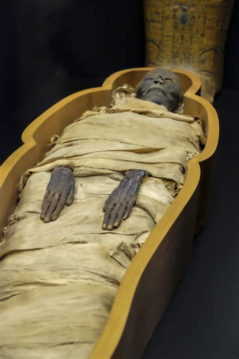 Dimenticate mummia ora è persona mummificata