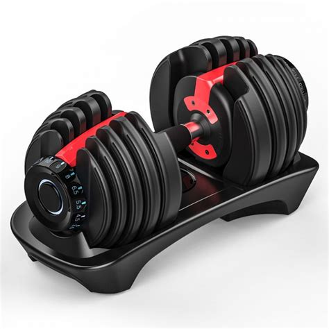 Adjustable Dumbbell Weights 24kg 1 Unit Nepal Fitness