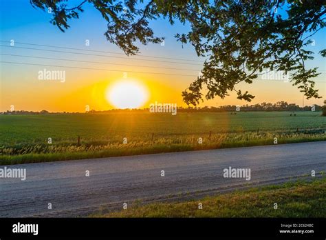 Nebraska Corn Field Hi Res Stock Photography And Images Alamy