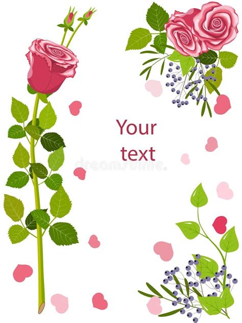 Greeting Card Pink Roses Stock Vector Illustration Of Invitation