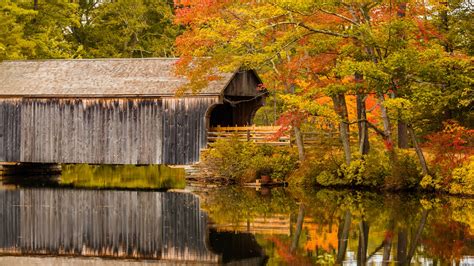 Covered Bridge In Fall Free Stock Photo Public Domain Pictures