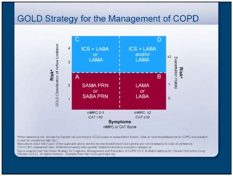 Check spelling or type a new query. COPD and Asthma | World Allergy Organization