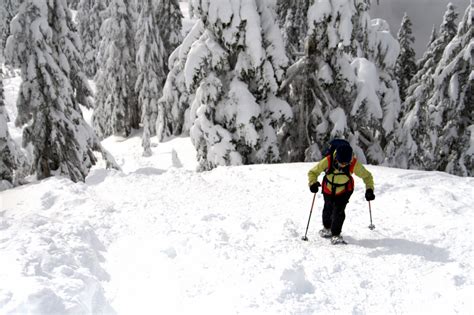 Grouse Mountain Snowshoe Grind Delivers Fun And Fitness Snowshoe Magazine