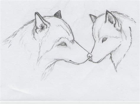Easy Drawing Of Animals Wolf Sketch By Greywolves Redroses Wolf