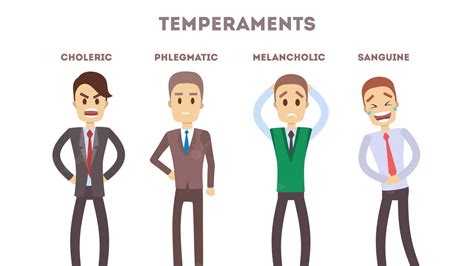 Why Its Important To Know The Different Temperaments Of Employees