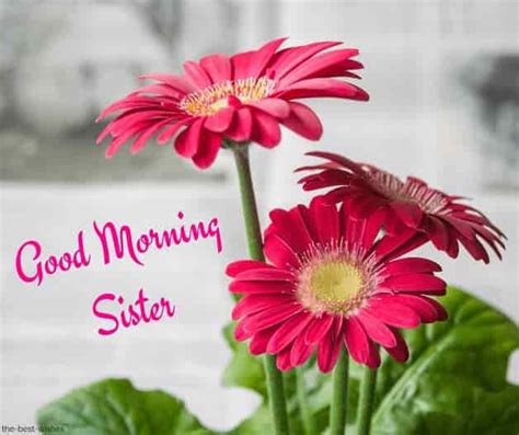 120 Lovely Good Morning Wishes And Greetings For Sister