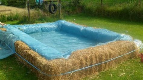 These include hotels, hostels, guest houses, schools, private sports clubs, as well as larger sports facilities built and operated by the government through various sports agencies. Farmer's award-winning selfie | Building a swimming pool ...