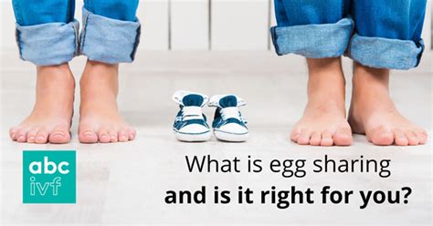 What Is Egg Sharing And Is It Right For You Ivf Blog Abc Ivf