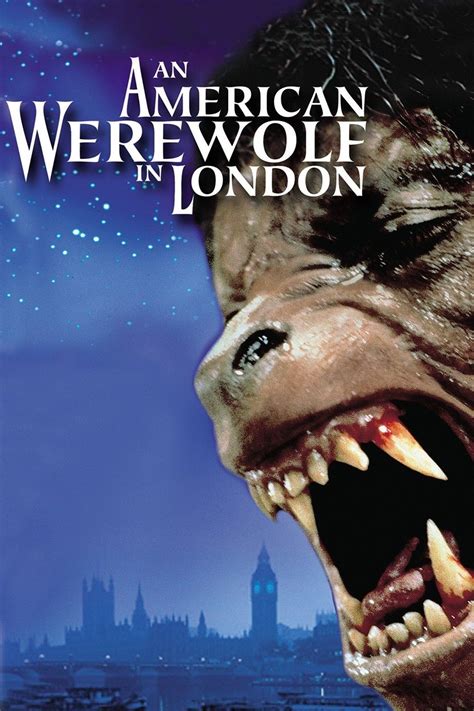 affiches posters et images de le loup garou de londres 1981