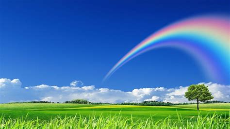Best Wallpaper Rainbow Sky Pics Wallpaper Shift