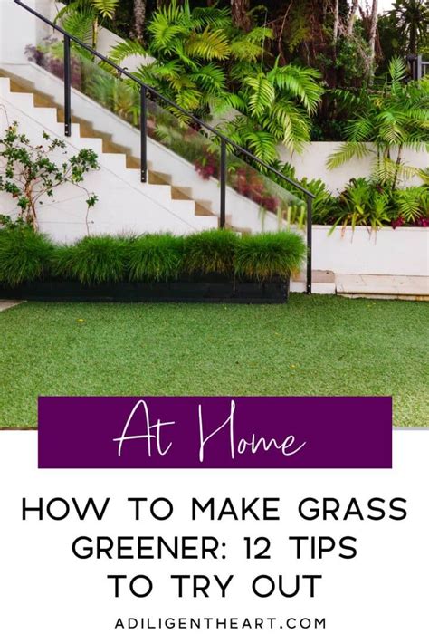 How To Make Grass Greener 12 Tips To Try Out