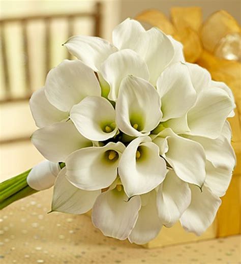 white mini calla lily bouquet nancy s floral