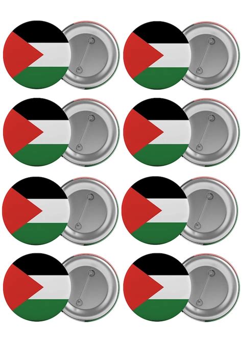 Filistin Bayrağı Çanta Rozeti Seti 8 Adet En Büyük Boy 5 8Cm Iğne