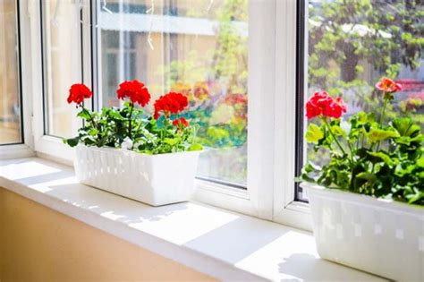 24 Beautiful Indoor Windowsill Flower Garden Ideas