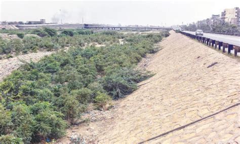 50 Acres Of Barren Lyari Riverbed Turned Into Urban Forest In Karachi