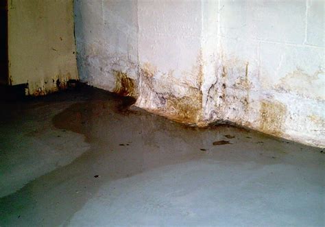 If yes, then there is a large probability that your house is my advice would be to have a mold expert look at the place since a do it yourself kit will obviously show up positive for mold if you have visible growth. Basement Moisture Problems | Select Basement Waterproofing