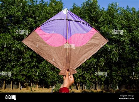 Female Holding And Flying A Big Kite With Nature Background On Occasion Of Indian Kite Flying