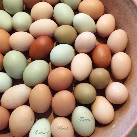Naturally Beautiful Eggs