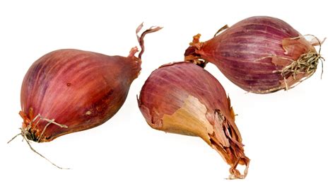 Shallots Facts And Health Benefits