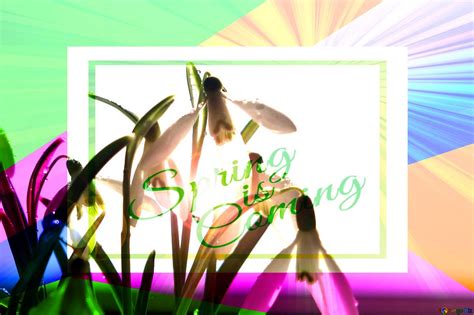 Spring Is Coming Wallpapers Wallpaper Cave