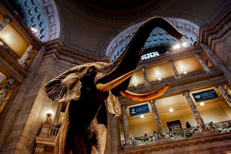Photo Of The Smithsonian National Museum Of Natural History In