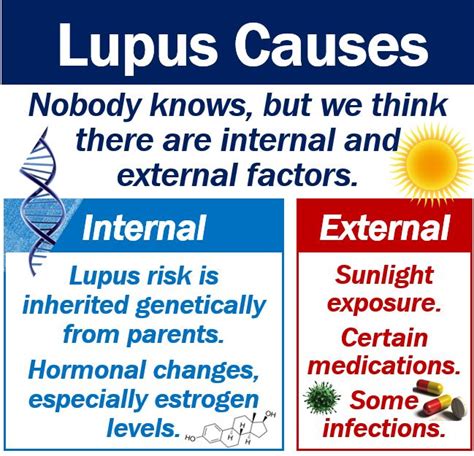 Lupus Causes Probably A Combination Of Factors Mbn Health