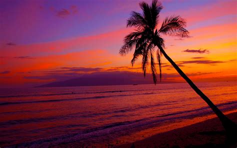 🔥 Free Download Na Pulpit Hawaiian Sunset Zachody Soca Natura