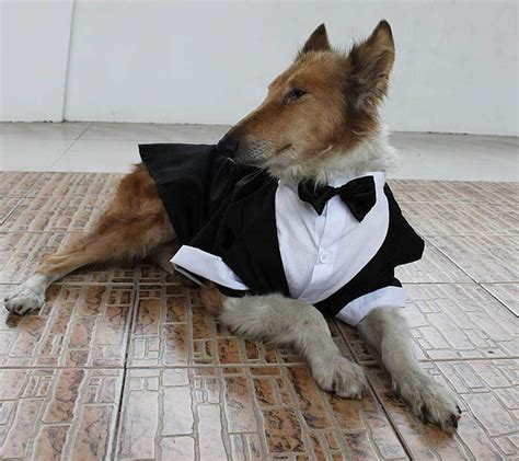 Buy Skjind Large Dog Wedding Suit Clothesbig Dog Tuxedo Costumes