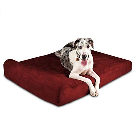 The 7 Best Extra Large Dog Beds For Xxl Dog Breeds Dogwish