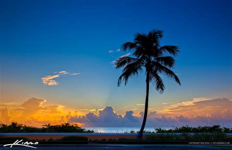Coconut Tree Sunrise At Palm Beach Island Florida Royal Stock Photo