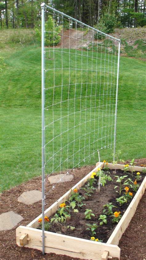 How To Build An Easy And Beautiful Vegetable Trellis Diy Garden My