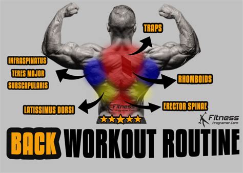 List Of All Back Workouts Tutorial Pics