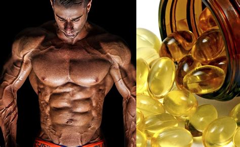 Ready to give a fish oil supplement a try? Fish Oil: Turns Fat Storage To Fat Burning Cells - Fitness ...