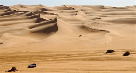 Desert Wikiwand
