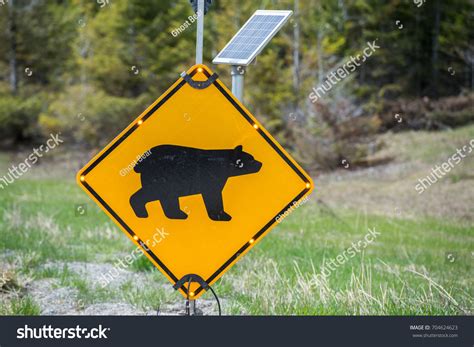 Bear Warning Sign Stock Photo 704624623 Shutterstock