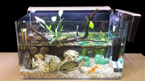 DIY Turtle Aquarium Fish Tank Setup How To Make Turtle Tank At Home Ideas Home Decoration