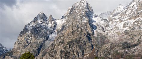Download Wallpaper 2560x1080 Mountain Peak Snow Slope Trees