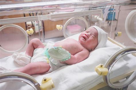 Sueño Recién Nacido Del Bebé En La Incubadora En El Hospital Foto De