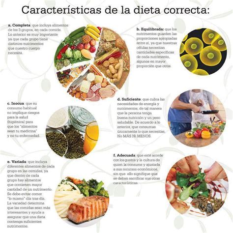 Características De La Dieta Dietas Nutrición Alimentos