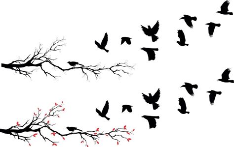 Gorrión aprender juego educativo pájaros aprender a dibujar ilustración vectorial. Vinilo De Pájaros