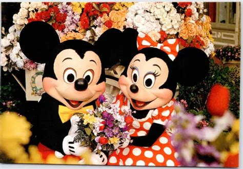 Walt Disney World Mickey Minnie Mouse Flowers Magic Kingdom Usa Vintage