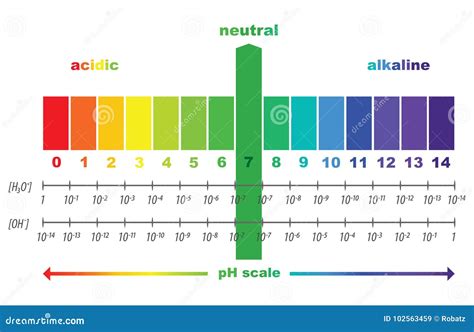 Scale Of Ph Value For Acid And Alkaline Solutions Stock Vector